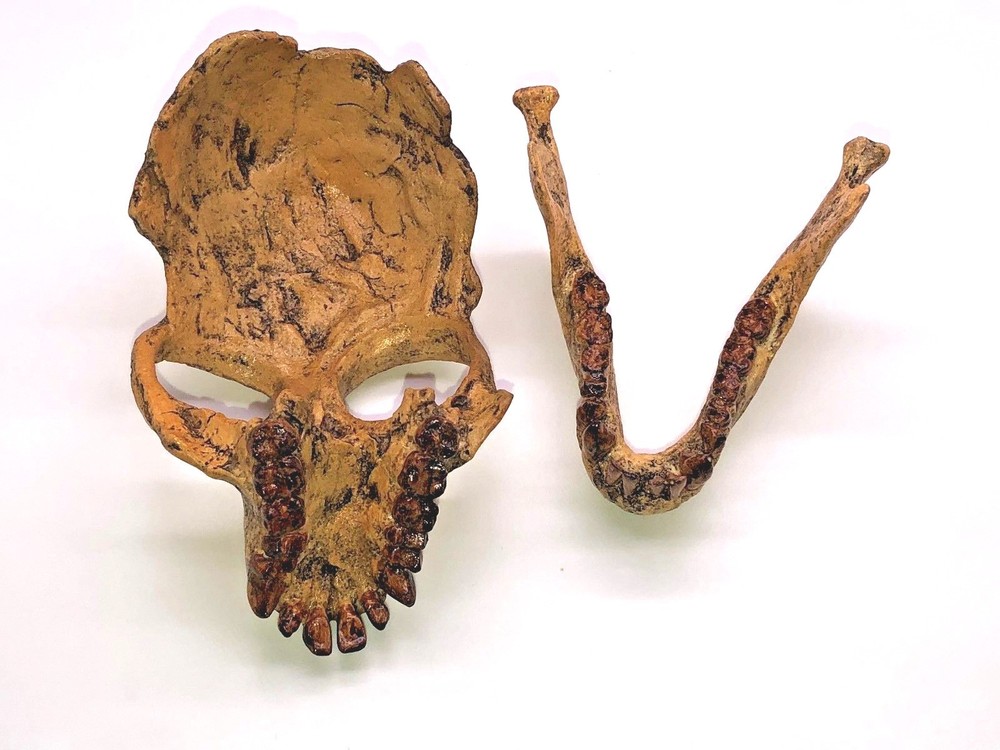 PRO-CONSUL   SKULL  REPLICA