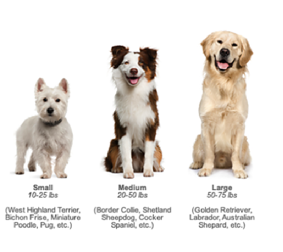 Dog Muzzle Adjustable Air Pollution Anti Dust Smog Filter Breathable Comfortable