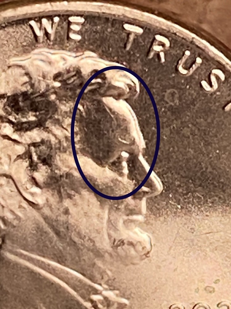 2020 P Lincoln’s Lose Hair Error from a BU Roll