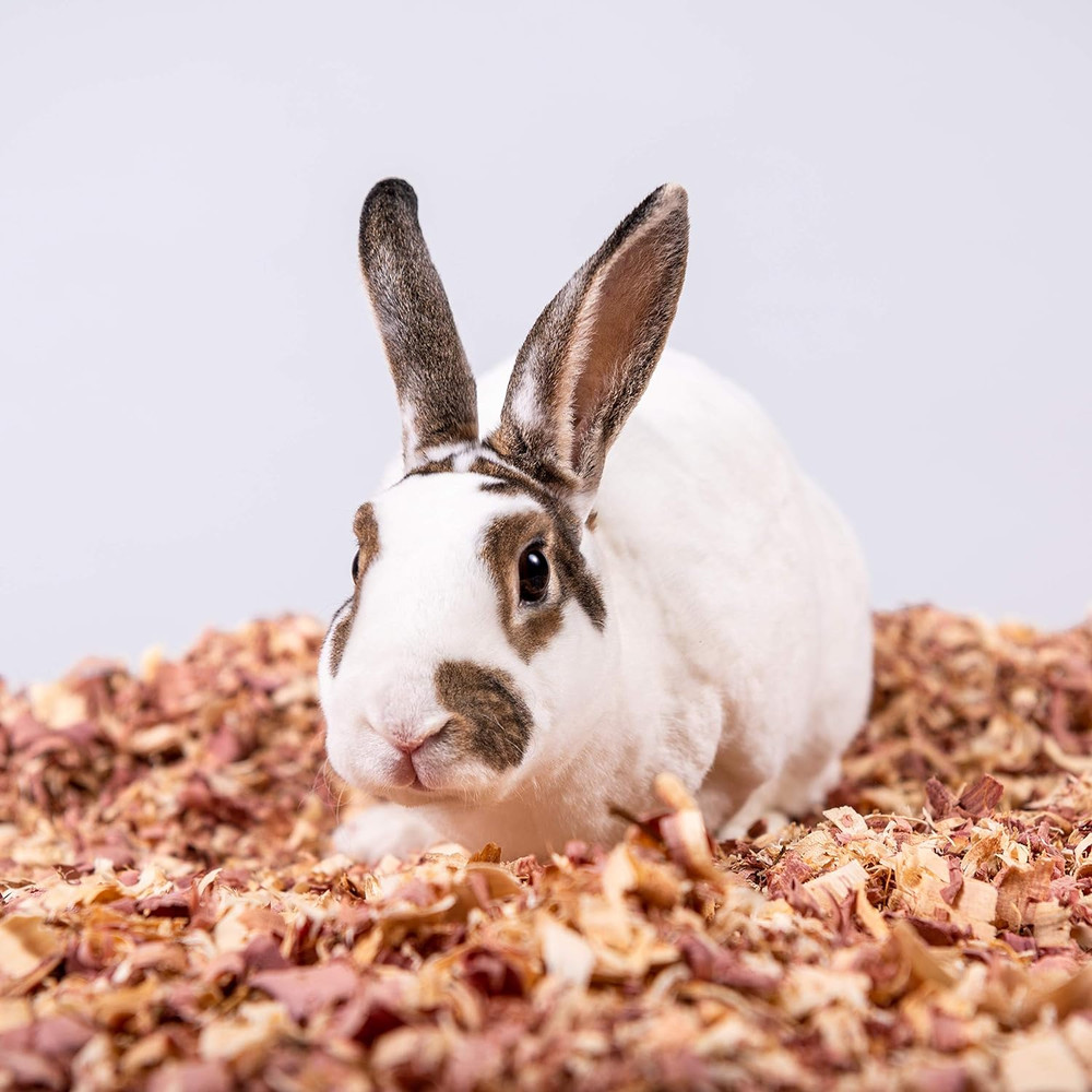 Red Cedar Pet Bedding 24L