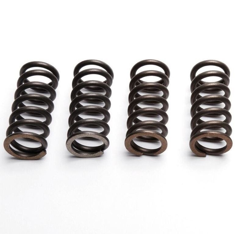 EBC Clutch Spring Set (4 PCS) Honda CM 250 TB 1981
