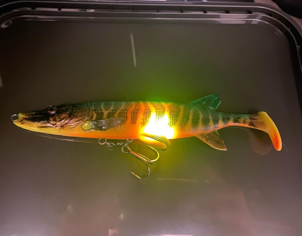 Bite Light / Fishing