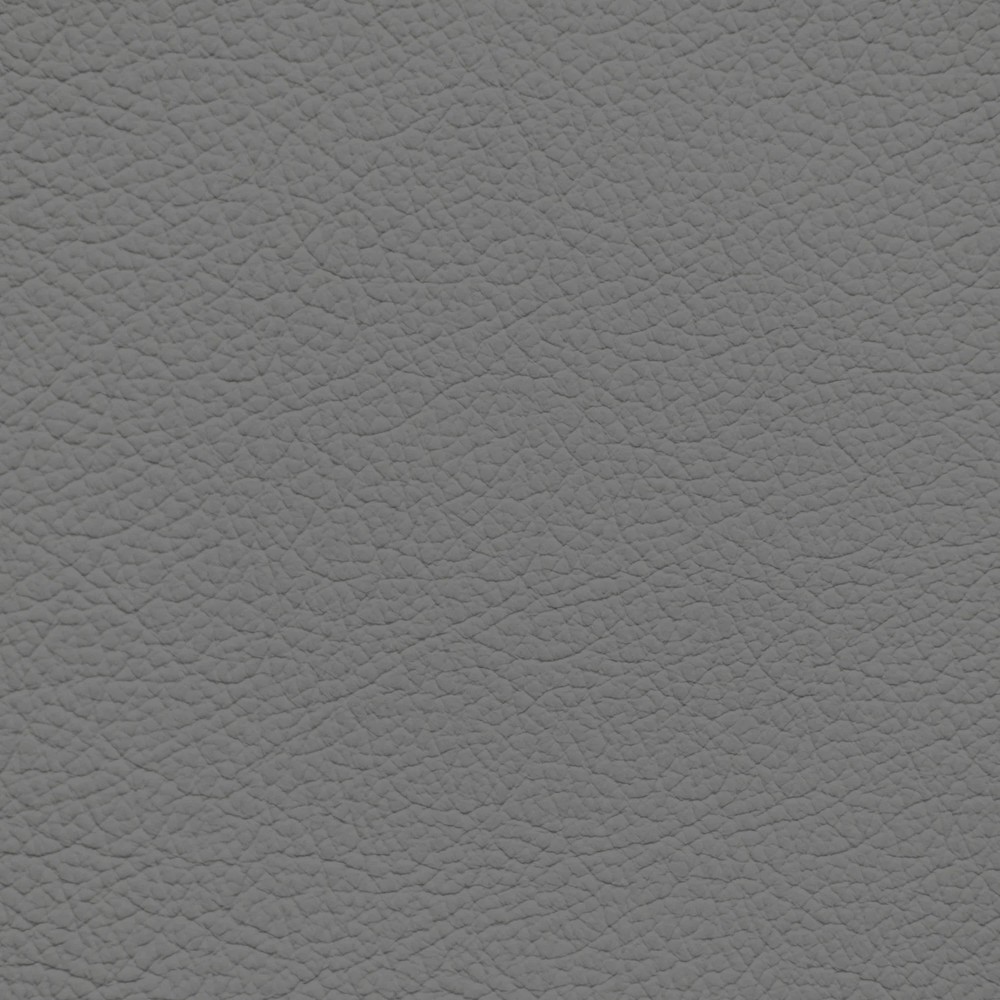 Audi Platinum Grey Leather Dye