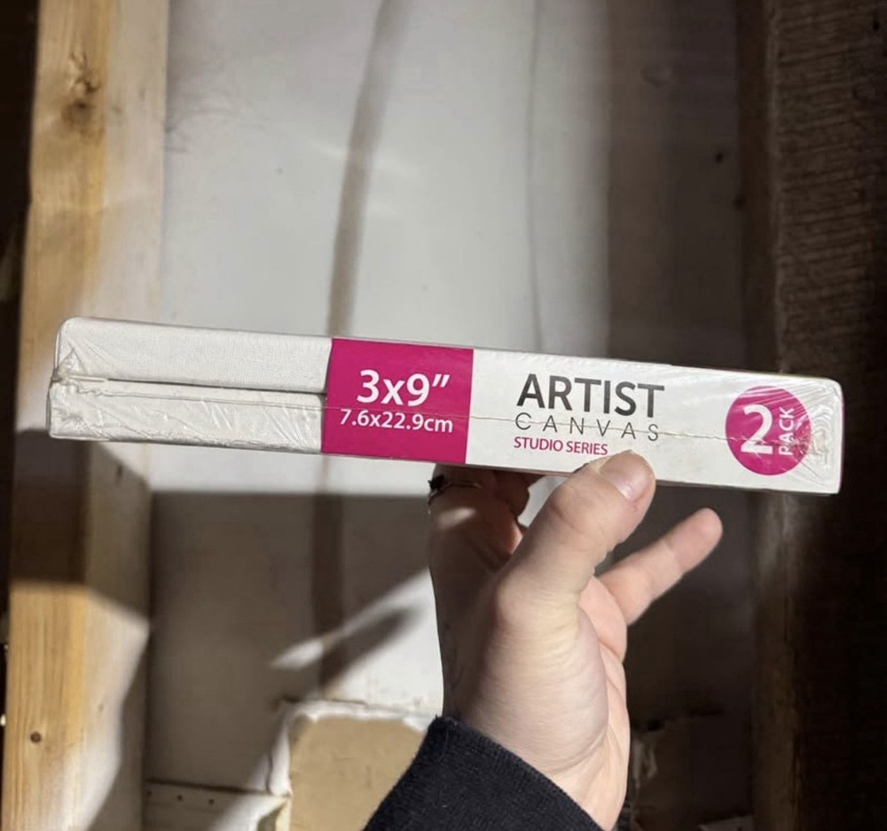 Fine Artist Materials Studio Series 2 Pack Rectangular Cotton Canvas 3x9"
