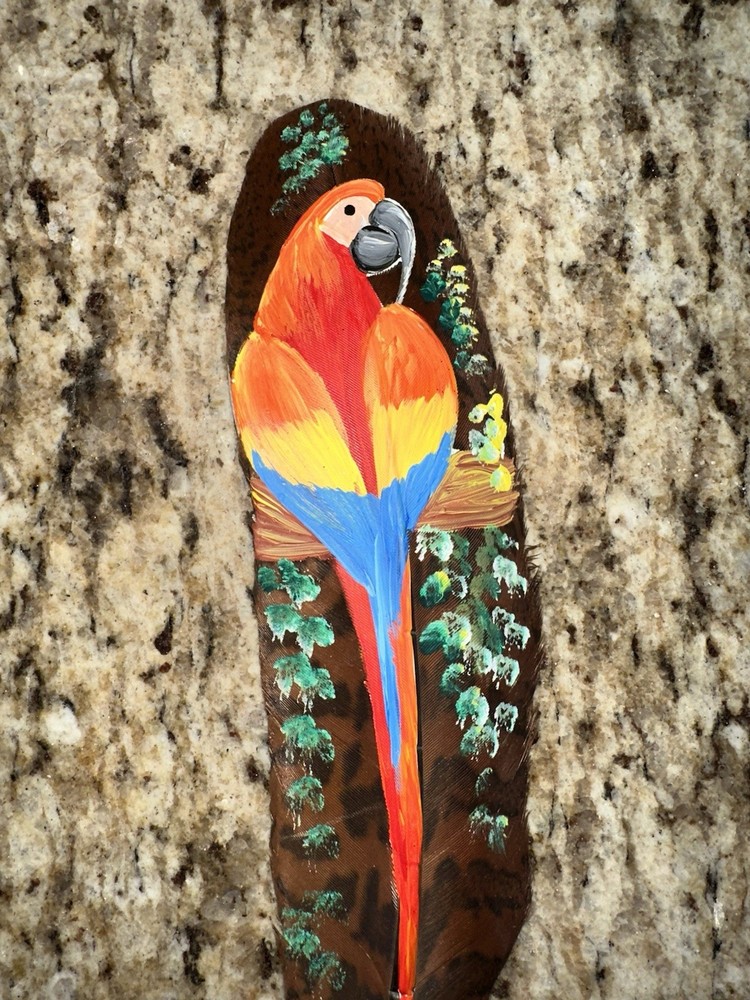 Hand Painted Parrot On Natural Feather