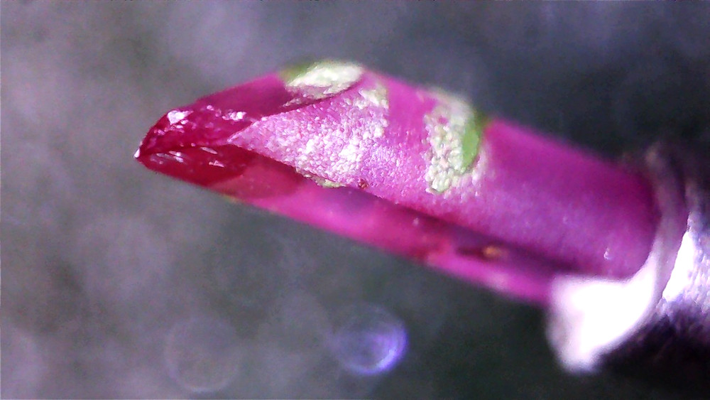 Record Cutting Lathe Transco Head needle original