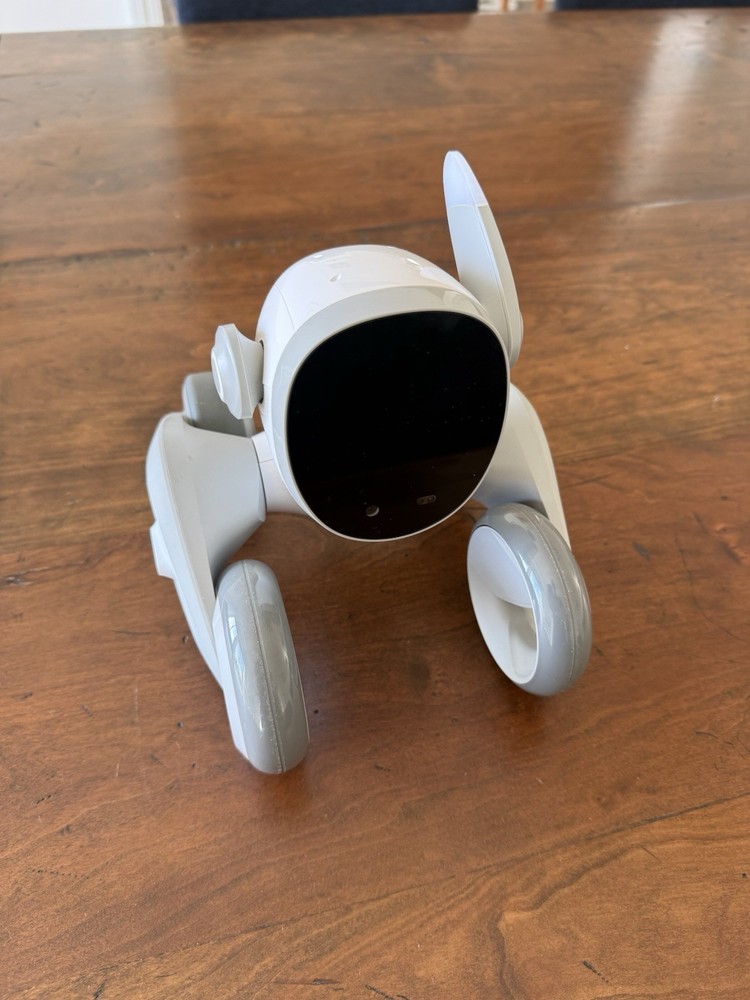 LOONA The PetBot
