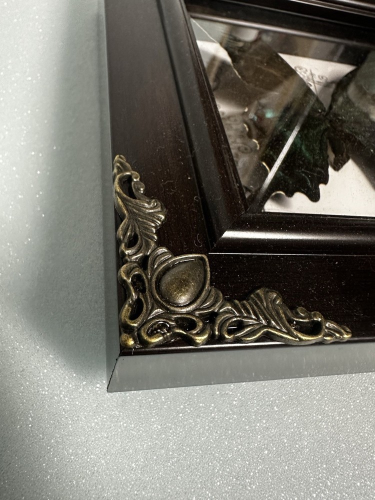 Goth Butterfly Display-bright Beautiful Blue-oddity