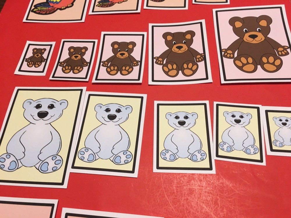 Laminated Sorting Cards - Size Sorting - 40 Cards Set