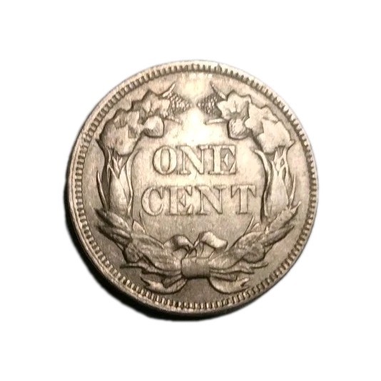 FEATHERS, FEATHERS, FEATHERS. 1857 SMALL LETTERS FLYING EAGLE CENT.