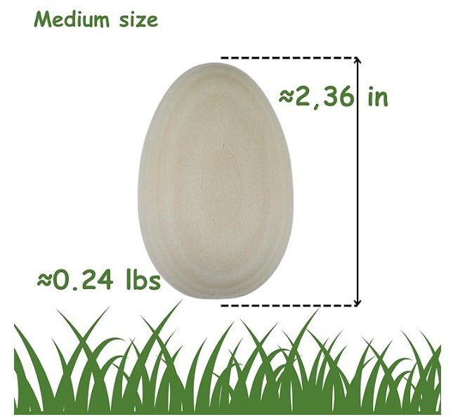 Plain Medium Easter Eggs 9 Pcs with Acrylic 12 Color Paint Set