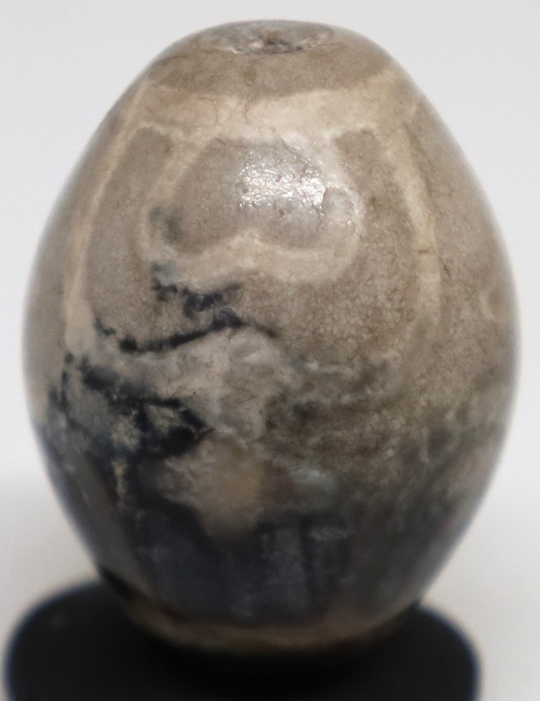 Himalayan Indo Agate DZI Old Genuine Ancient Longevity Patten Good Luck Bead