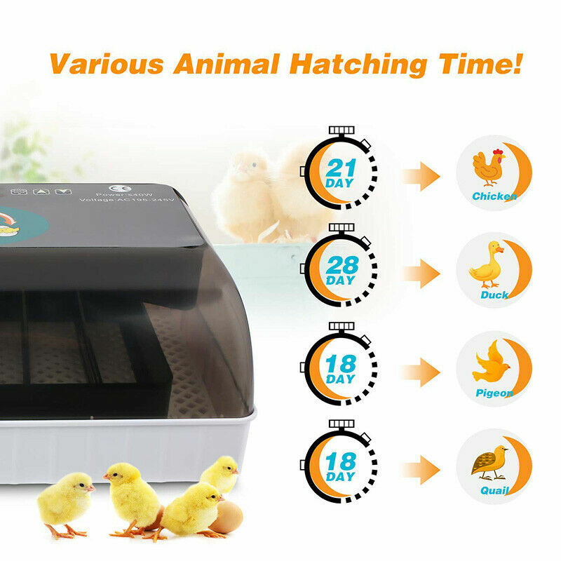 12 Eggs Incubator Automatic Egg Turning Chicken Quail Chick Hatcher Incubators