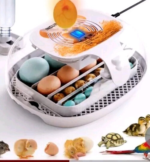 Egg Incubator with Humidity Display,LED Egg Candler,Automatic Egg Turner, Egg...