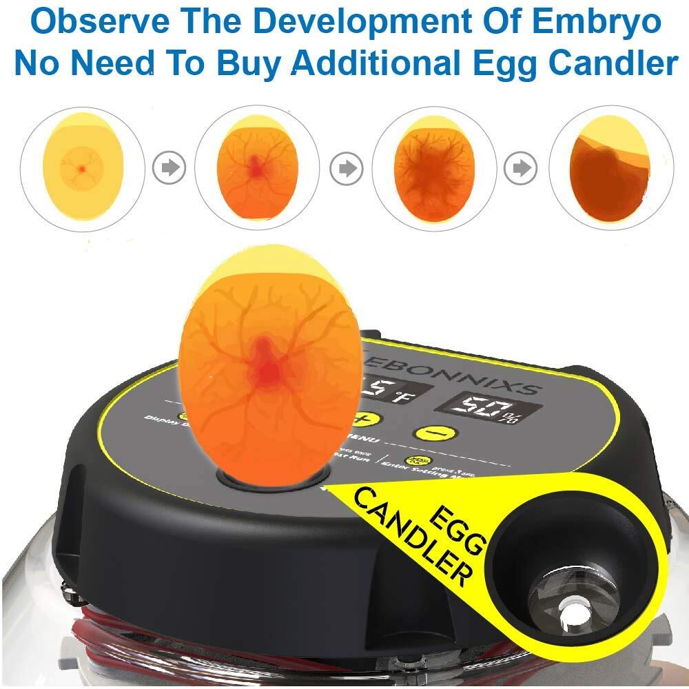 12 Egg Incubator With Humidity Display Egg Candler Automatic Egg Turner For Hatc
