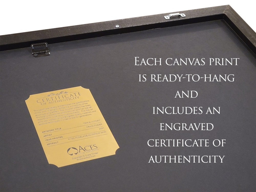 Supermarine Spitfire MkVB - Douglas Bader - Framed Panoramic Print