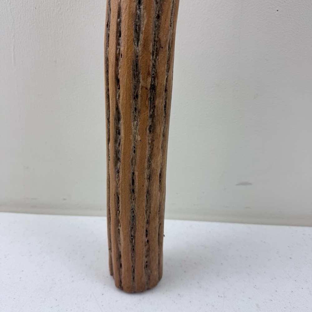 Cactus Rain Stick Curved 20” Made Chile
