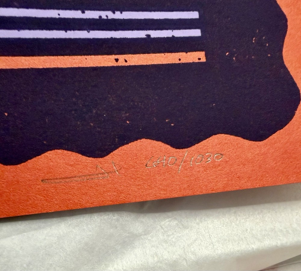 BILLY STRINGS 2020 STREAMING STRINGS VARIANT TOUR POSTER LE X/1130 MINT 🔥