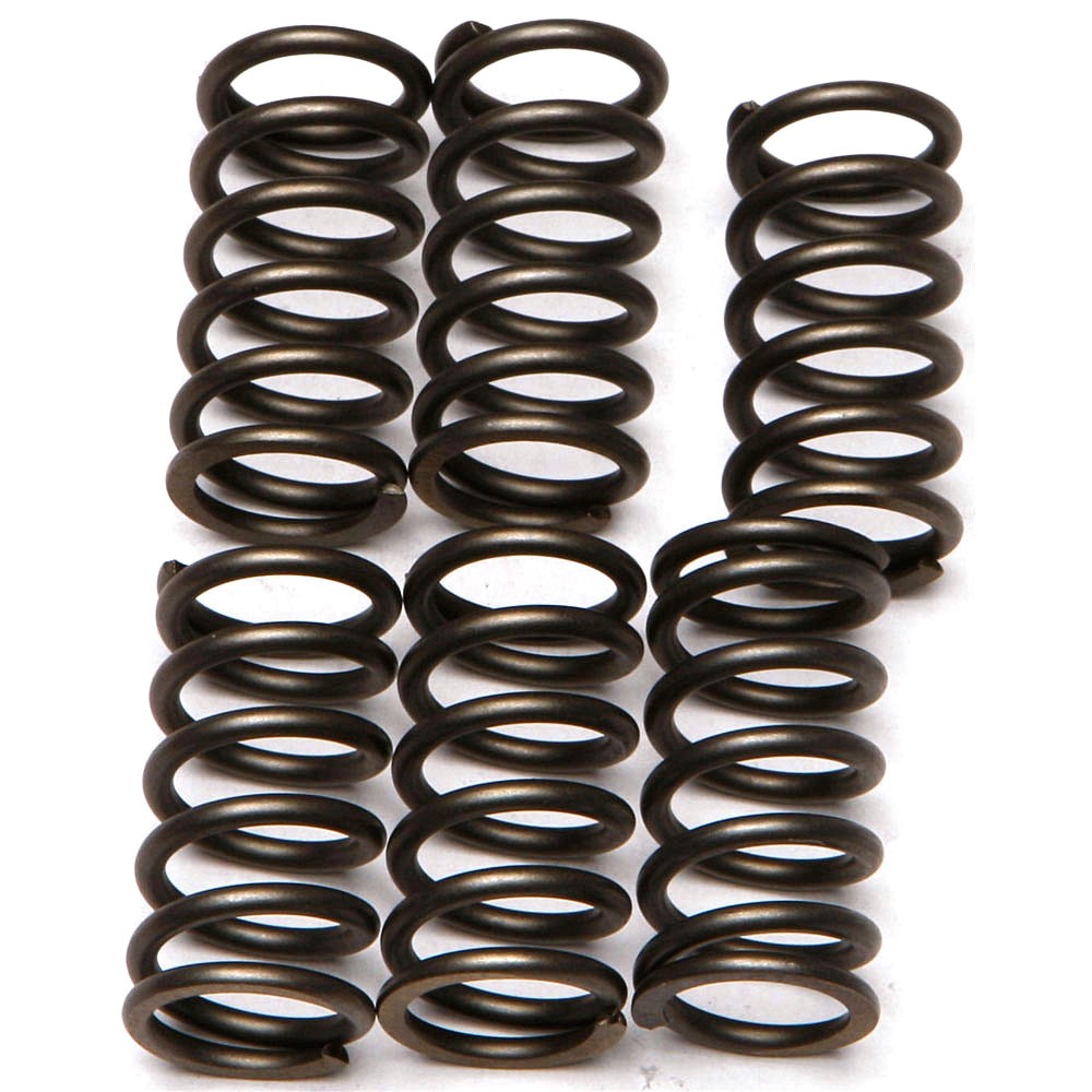 EBC CSK Clutch Spring Kit - CSK159
