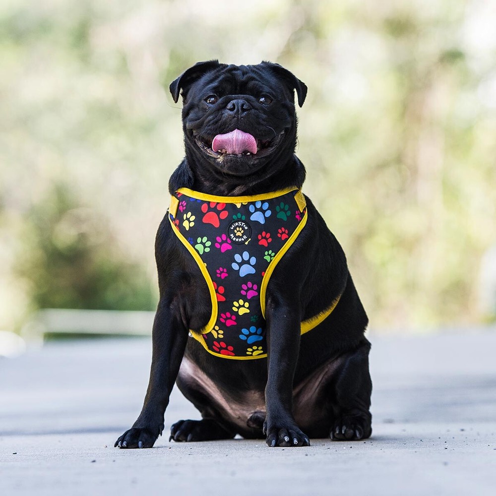My Prints Dog Harness