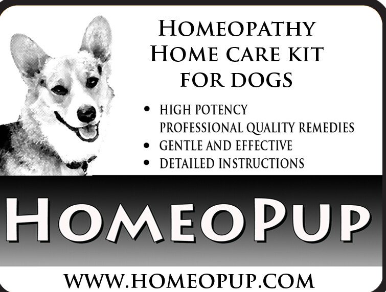 Homeopathy Emergency Kit for Dogs