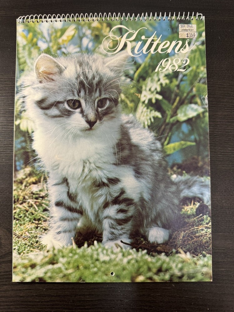 Calendar 1982 Kitten -  Hoyle Products - Unused
