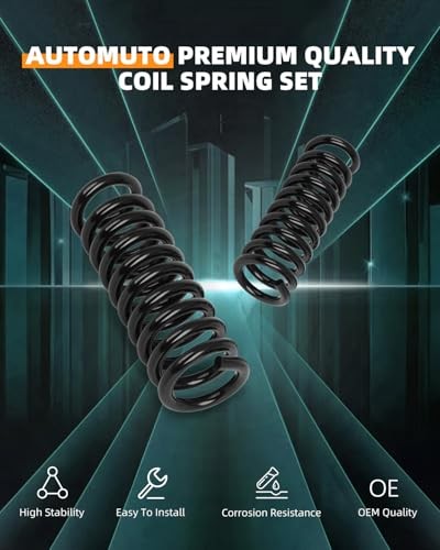 2PCS Rear Suspension Coil Spring Set Compatible with 2006-2010 for Dodge