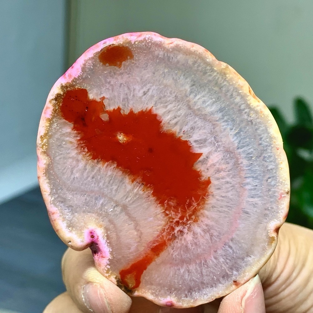 42G Natural Beautiful Agate Geode Druzy Slice Extra Large Gemstone