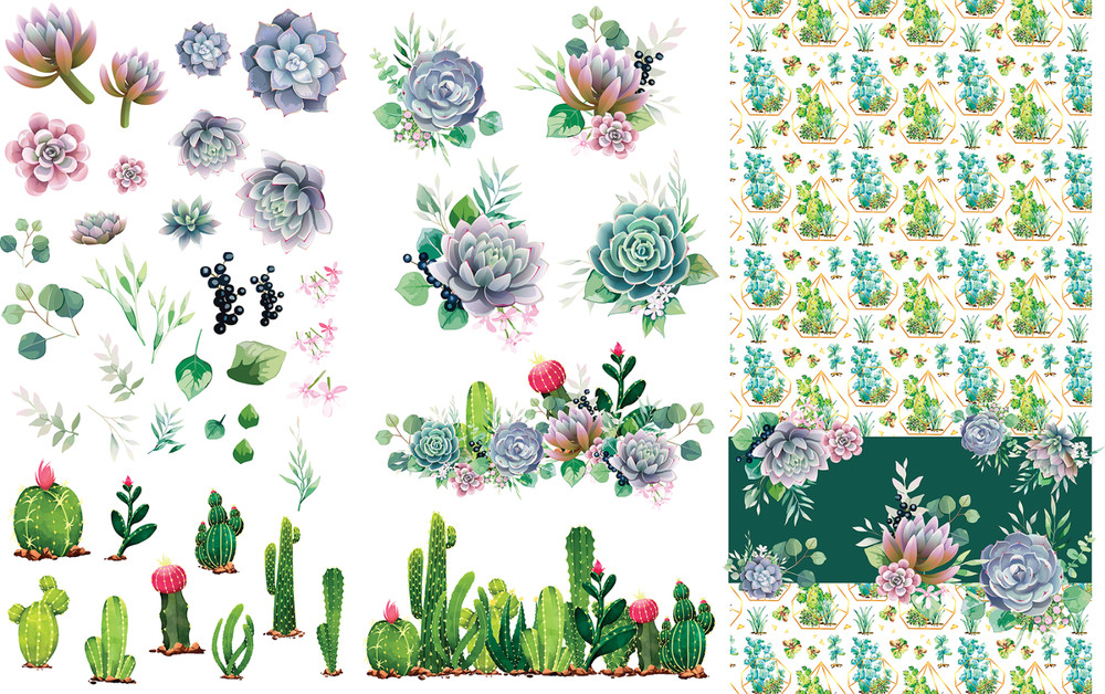 Cacti & Succulents Transfer