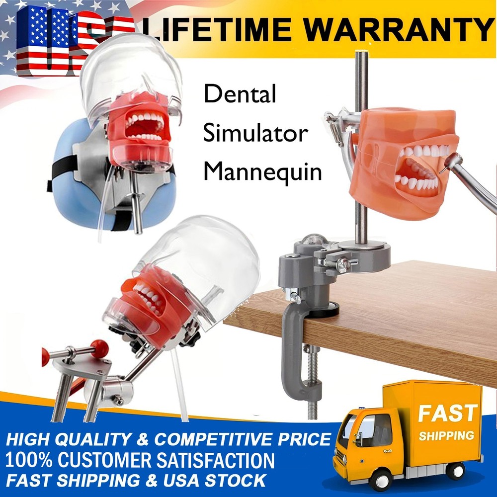 Dental Simulator Mannequin Head Teeth Model Teaching Practicing 360° Rotating US