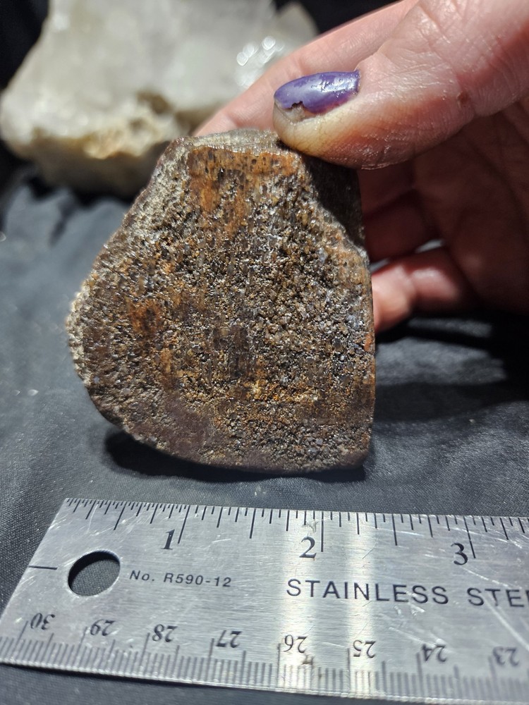 Gem Bone Multicolored Polished Specimen (8.2oz)