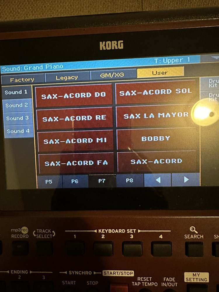 Samples Profesionales Para korg Pa 700,1000,4X. En Una USB (171 samples )