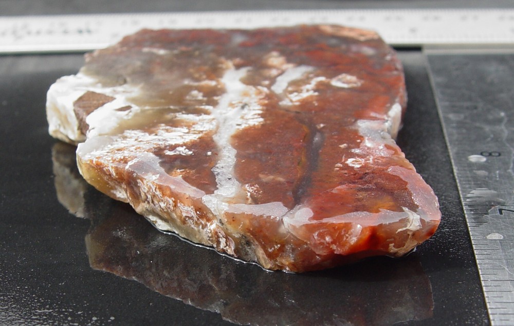 red Plume Agate Lapidary Slab T1075