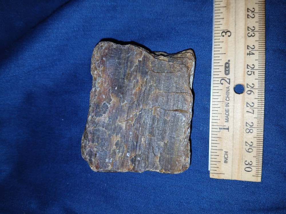 5.6 oz Agatized Petrified Wood