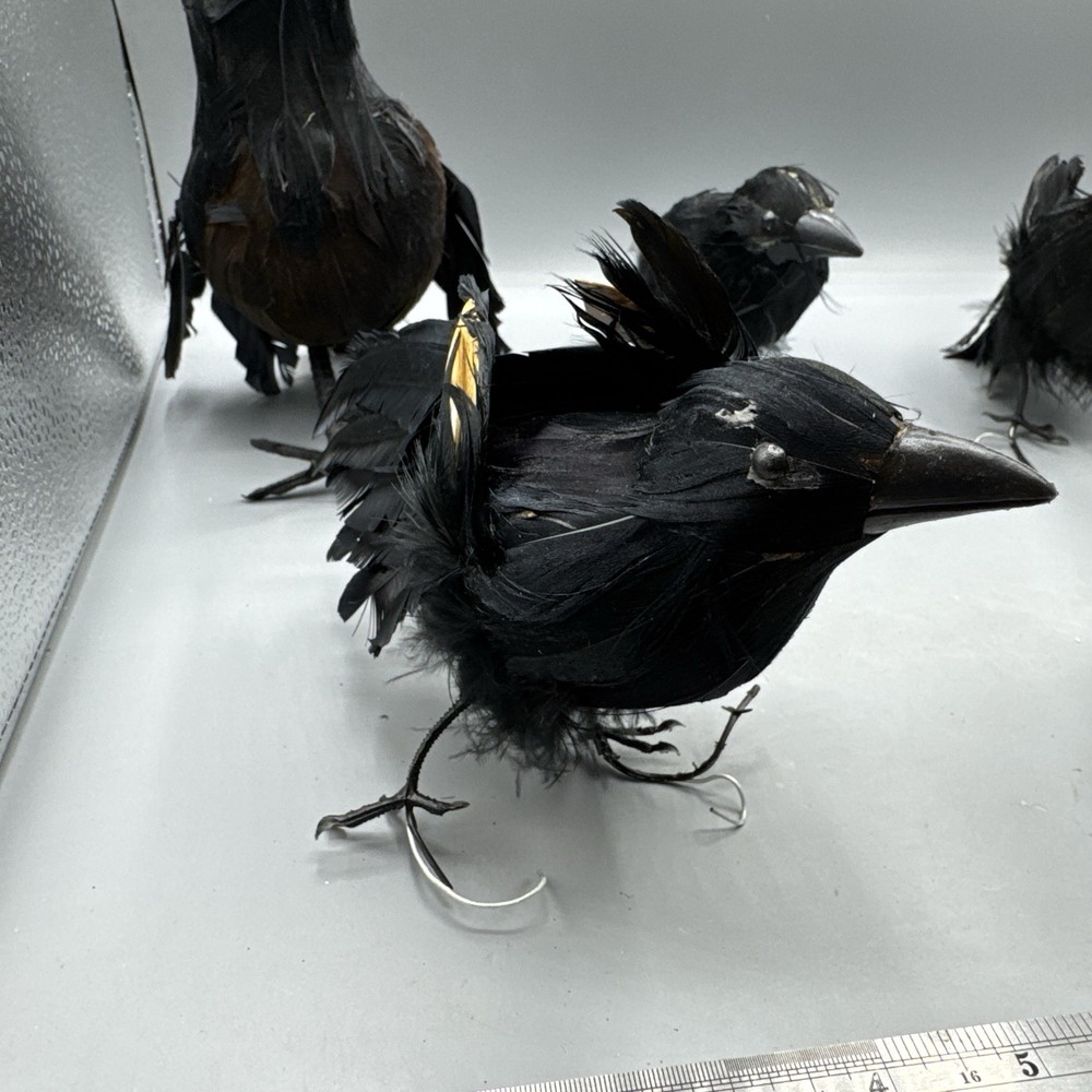 5 PCS Black Feathered Crows Halloween Ravens
