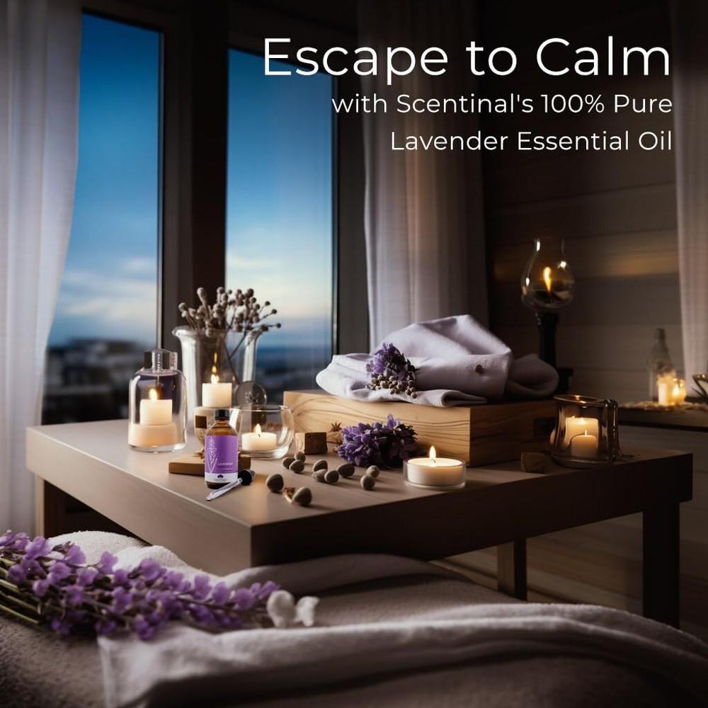 Scentinal Lavender Essential Oil - 100% Pure, Natural & Authentic - Extra Large