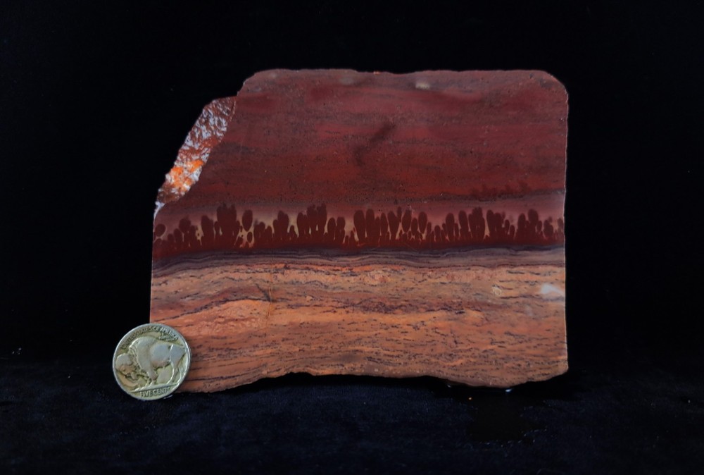 Mimbres Picture Jasper Slab