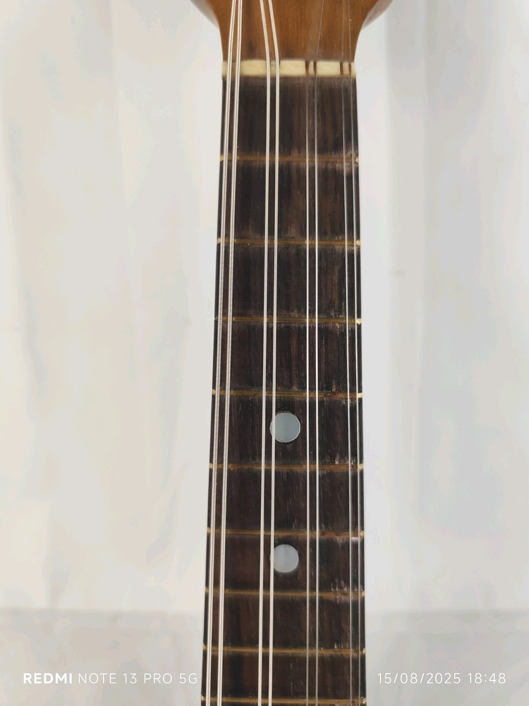 Mandolin 4/4 Giuseppe Cesolari 1905 Rome 曼陀林 만돌린マンドリン