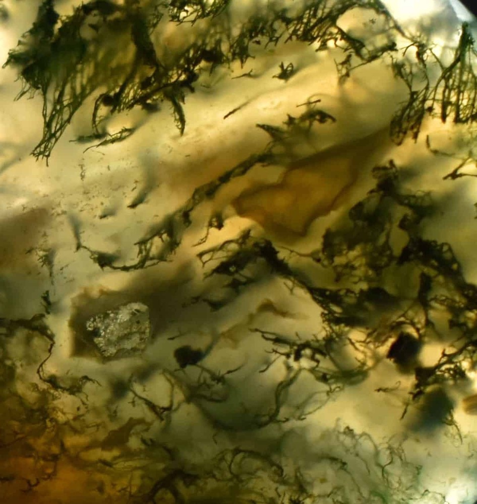 Green Moss Agate Soap-Shaped Palm Stone #2