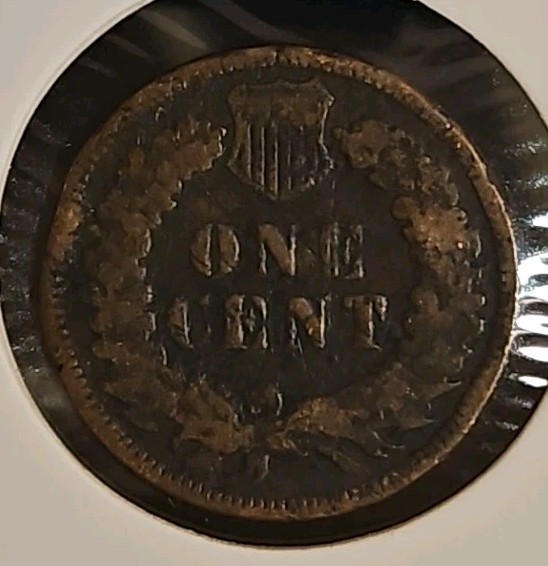 1905 Indian Head Cent