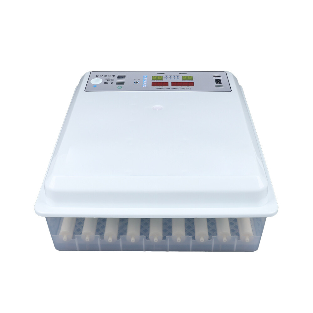 Digital Incubators for Hatching 64 Eggs Incubator Automatic Egg Turning Chicken