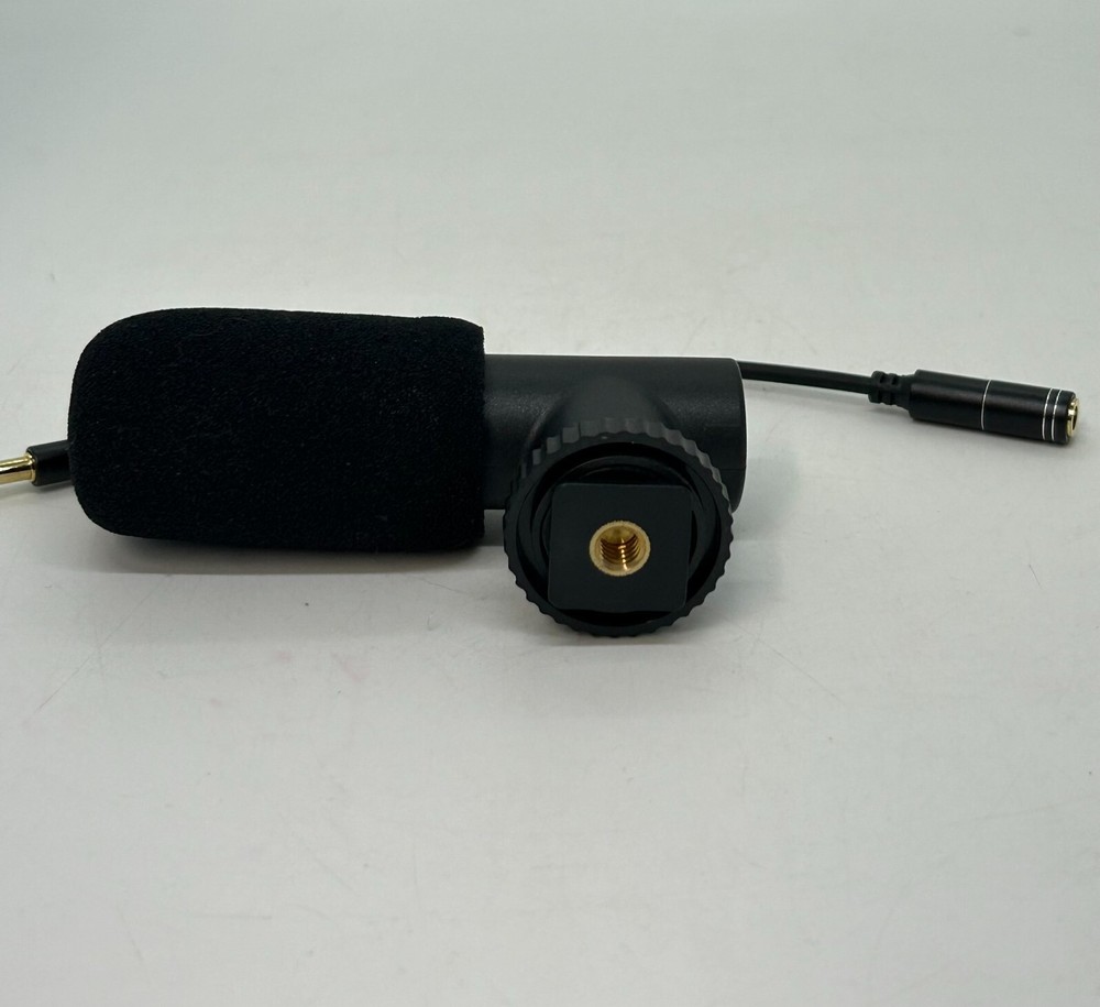 Camcorder Microphone