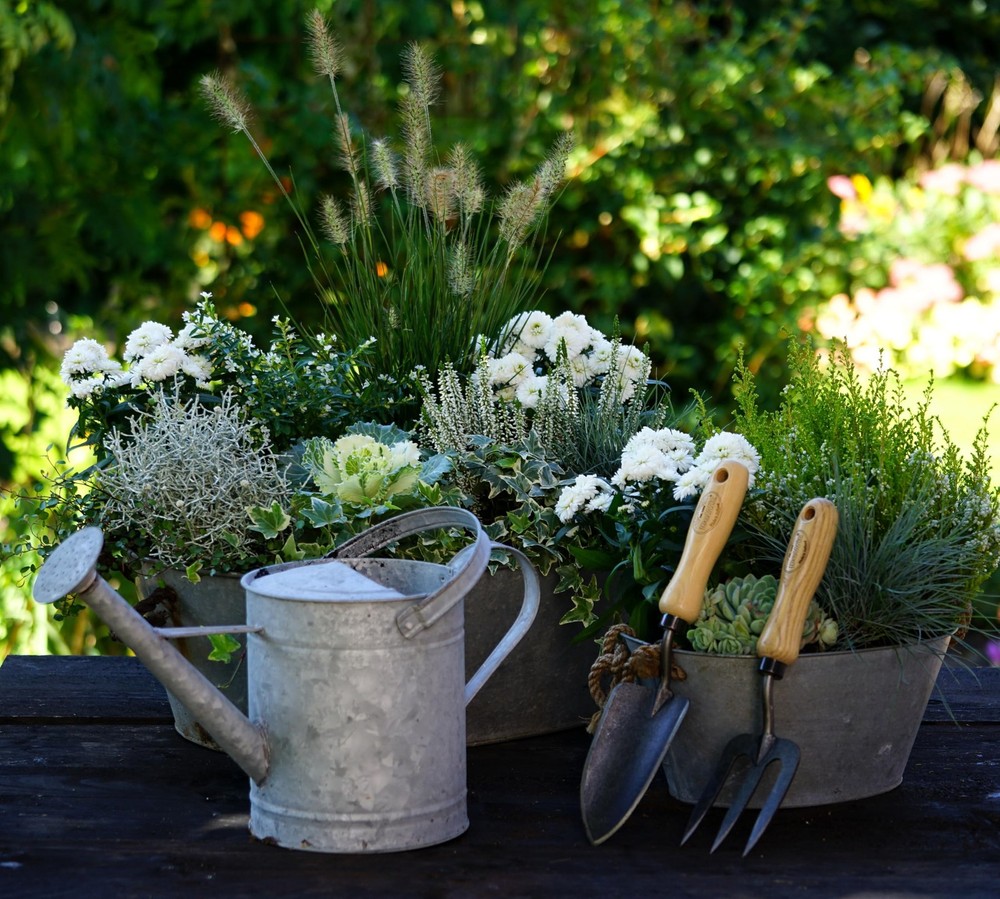 Small Garden Fork – Compact & Durable Cultivator