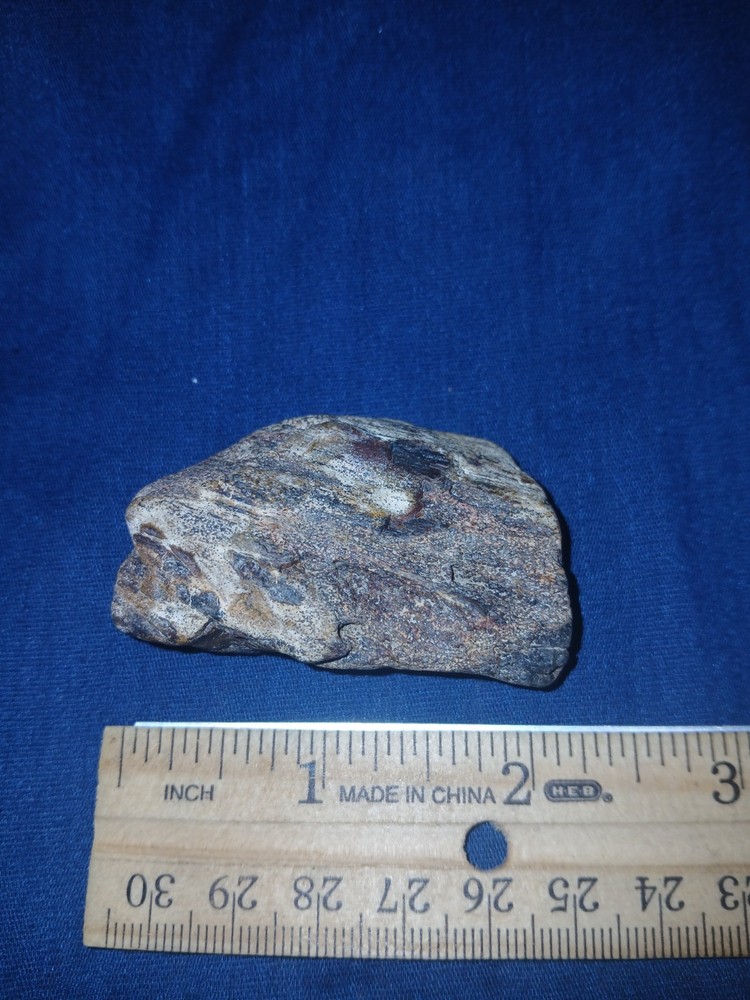 1.9 oz Agatized Petrified Wood