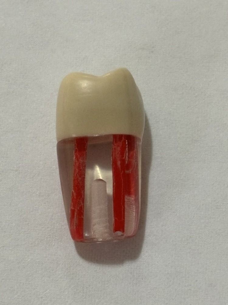 Endo Tooth #16 For ADC MODEL (3 Pack)