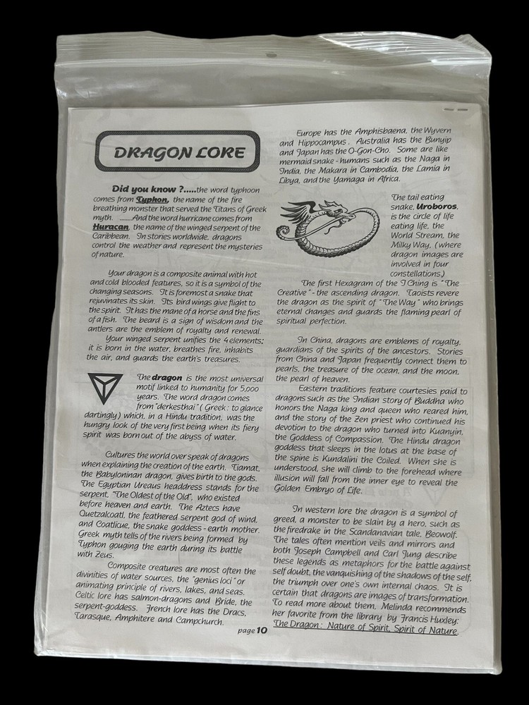 Dragon Pattern Fabric Sculpture Fantasy 2000 Smallworks