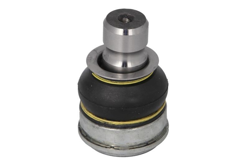 Control Arm Pin Front Left (Left) - Right