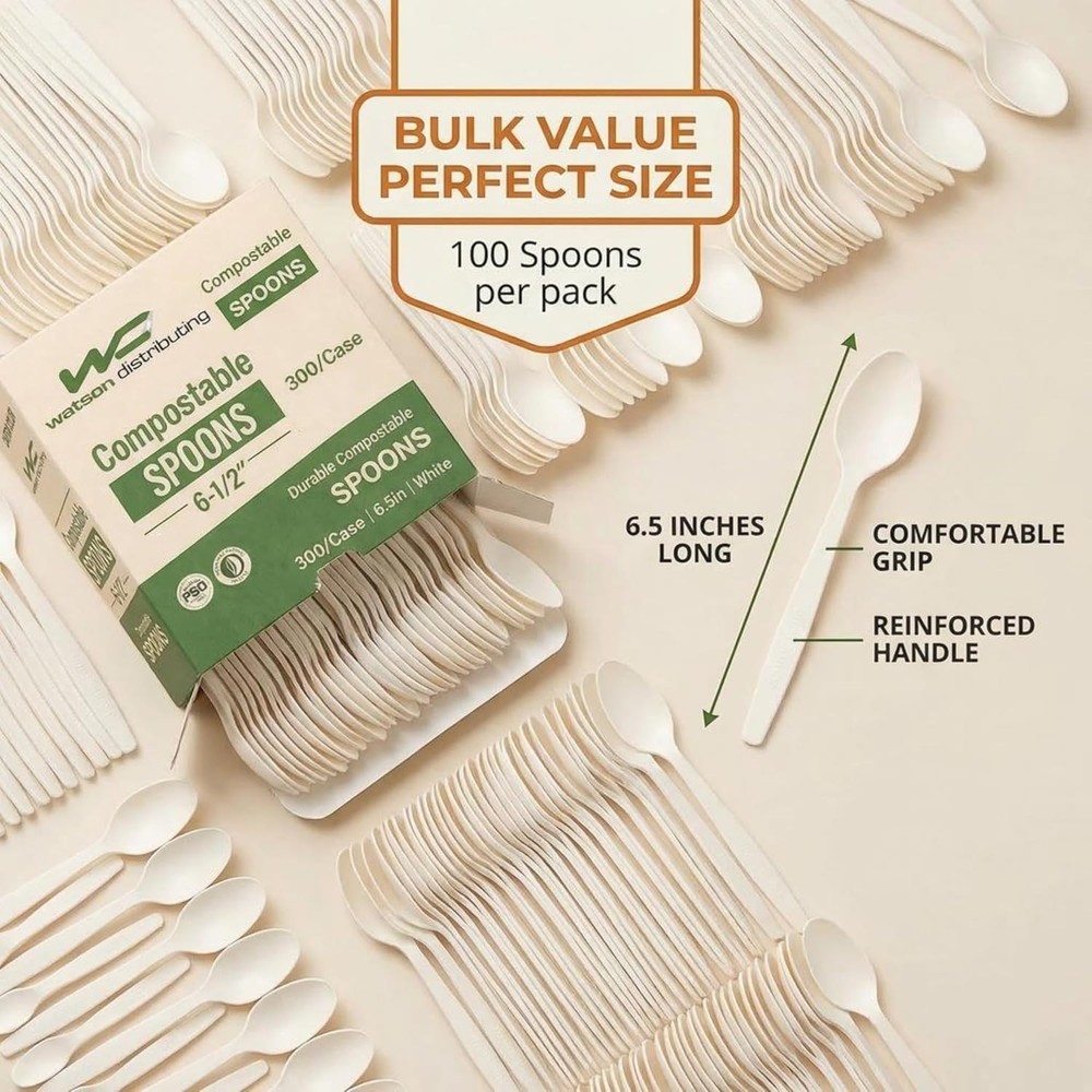 Watson Distributing Heavy Duty Disposable Spoon White 6.5 Inch - 100/Case