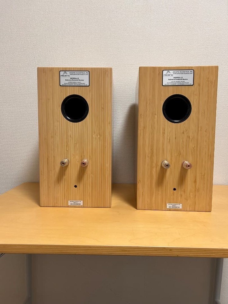 Ascend Acoustics Sierra-LX speaker