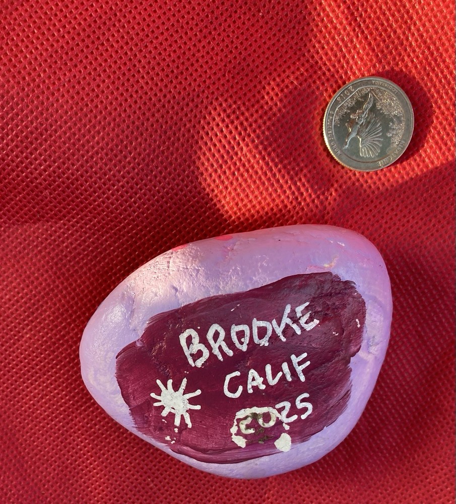 Hand painted Floral Rock